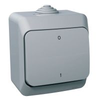 Łącznik 2P szary, Cedar Plus | WDE000620 Schneider Electric