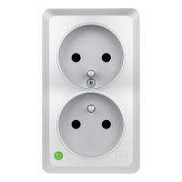 Gniazdo BERG GNT 2x2P+Z, srebrne | 3743-06 Elektro-Plast Nasielsk