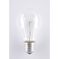 Żarówka wysokotemperaturowa Soleo 100W E27 24V A55 1000h | WST-2662 Helios