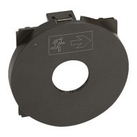 Plakietka łącznika na klucz do oświetlenia awaryjnego grafitowa, Celiane | 067929 Legrand