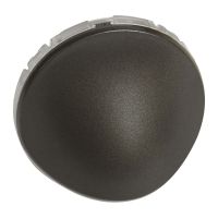 Plakietka lampki typu „SPOT” LED 2,2 W grafitowa, Celiane | 067954 Legrand