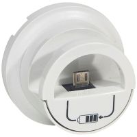 Plakietka do gniazd zasilajacych 2xUSB 230VAC/5VDC, biała, Celiane | 068210 Legrand