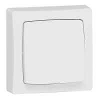 Przycisk 1-biegunowy 6A n/t biały kompletny Oteo | 086006 Legrand