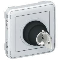 Łącznik z kluczem 2 pozycje 3A IP55 szary, Plexo | 069534 Legrand