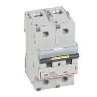 Wyłącznik dwubiegunowy 100 A DX3 16 kA | 409229 Legrand