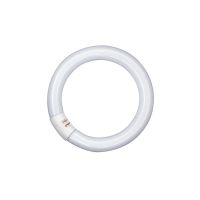 Świetlówka liniowa LUMILUX T9 C 40 W/840 G10Q | 4050300014845 Ledvance