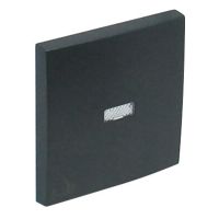 Klawisz do łącznika zwiernego z podświetleniem z symbolem dzwonek, grafit, LOGUS 90 | 90795TIS Efapel