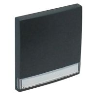 Klawisz do łącznika zwiernego z polem opisowym, grafit, LOGUS 90 | 90603TIS Efapel