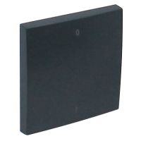 Klawisz do łącznika 2-biegunowego z symbolami 0 i 1, grafit, LOGUS 90 | 90608TIS Efapel