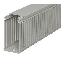 Kanał grzebieniowy 100x50, PVC, szary kamienny, 7030 LKV 10050 (2m) | 6178336 Obo Bettermann