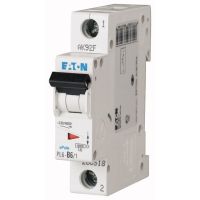 Wyłącznik nadprądowy 1P D 6A 6kA AC, PL6-D6/1 | 286542 Eaton
