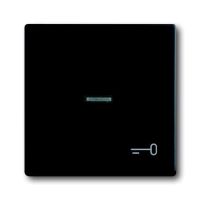 Klawisz z symbolem "KLUCZ" do przycisku zwiernego czarny mat, Future, 1789 TR-885 | 2CKA001751A3046 ABB