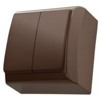 Łącznik dwugrupowy świecznikowy ŁN-2B/24 seria BIS BRĄZOWY | ŁN-2B/24 Ospel