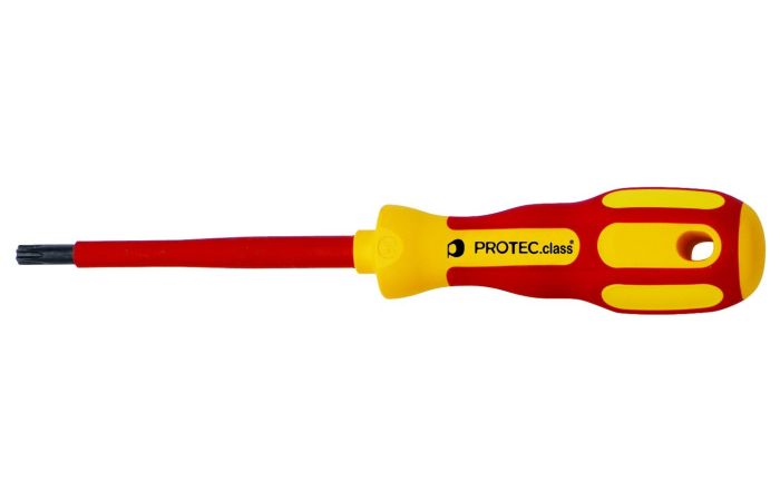 Wkrętak Torx PTXSD T25 25x80mm 053949 | 05103464 PROTEC.class