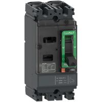 Wyłącznik, ComPacT NSX, NSX100M AC/DC, TM63D, 2P2D, 25kA | C10M2TM063 Schneider Electric