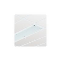 Oprawa ścienna/sufitowa CR250B LED 55S/840 PSU W30L120 IP65 | 910503910173 Philips