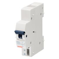 Wyzwalacz nadprądowy 110-125V DC/110-415 V AC | GW96012 Gewiss