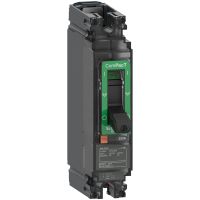 Wyłącznik, ComPacT NSX, NSX160M AC/DC, TM125D, 1P1D, 40kA | C16M1TM125 Schneider Electric