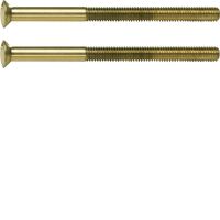 Śruba z dwoma otworami M3,5 x 50 mm, złoty, TS  | WZA9092 Hager