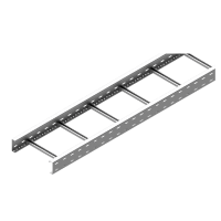 Drabinka DST600H100/6, gr.blachy 3,0mm (6m) | 410466 Baks