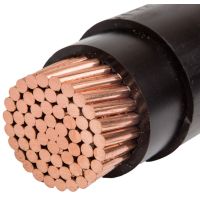 Kabel bezhalogenowy N2XH-O 1x50 0,6/1kV B2ca BĘBEN | N63800 Eupen