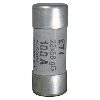 Wkładka topikowa cylindryczna 22x58mm 50A gG 690V CH22 (zwłoczna) | 002640019 Eti