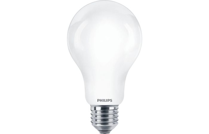 Lampa LED  classic 150W 2452lm A67 E27 CDL 6500K FR ND 1SRT4  matowa | 929002372801 Philips