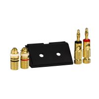 Akcesoria wypustu kablowego Merten adapter + dwa złącza audio typu Hi-Fi | MTN464387 Schneider Electric